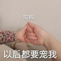 表情包：我是秃头小宝贝