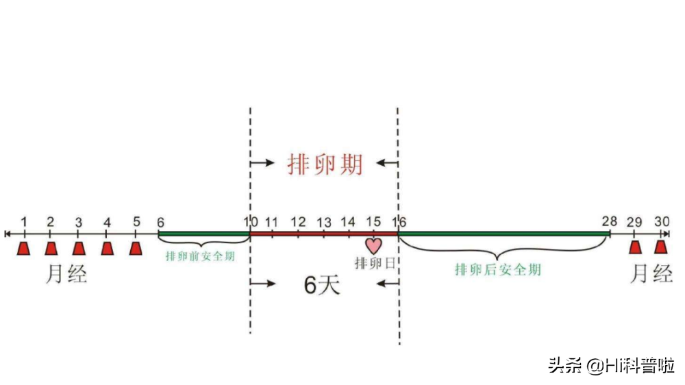 繁衍本能从何而来，为何大多数动物都有发情期，而人类却没有？