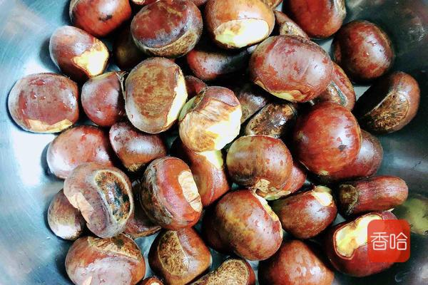 它被誉为“千果之王”，蛋白质是苹果的21倍，9月吃正当季