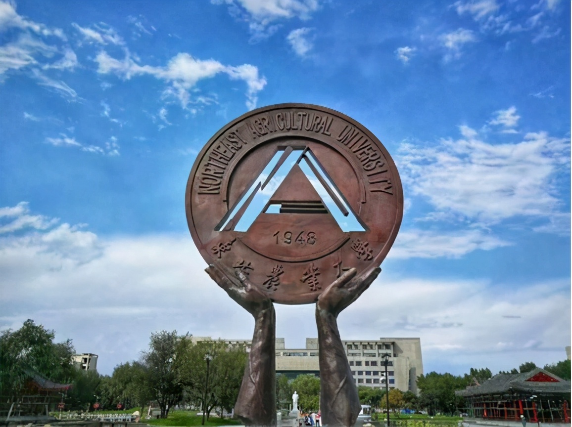 门槛不高、就业好的三所211大学，550分以下可报考，中等生别错过