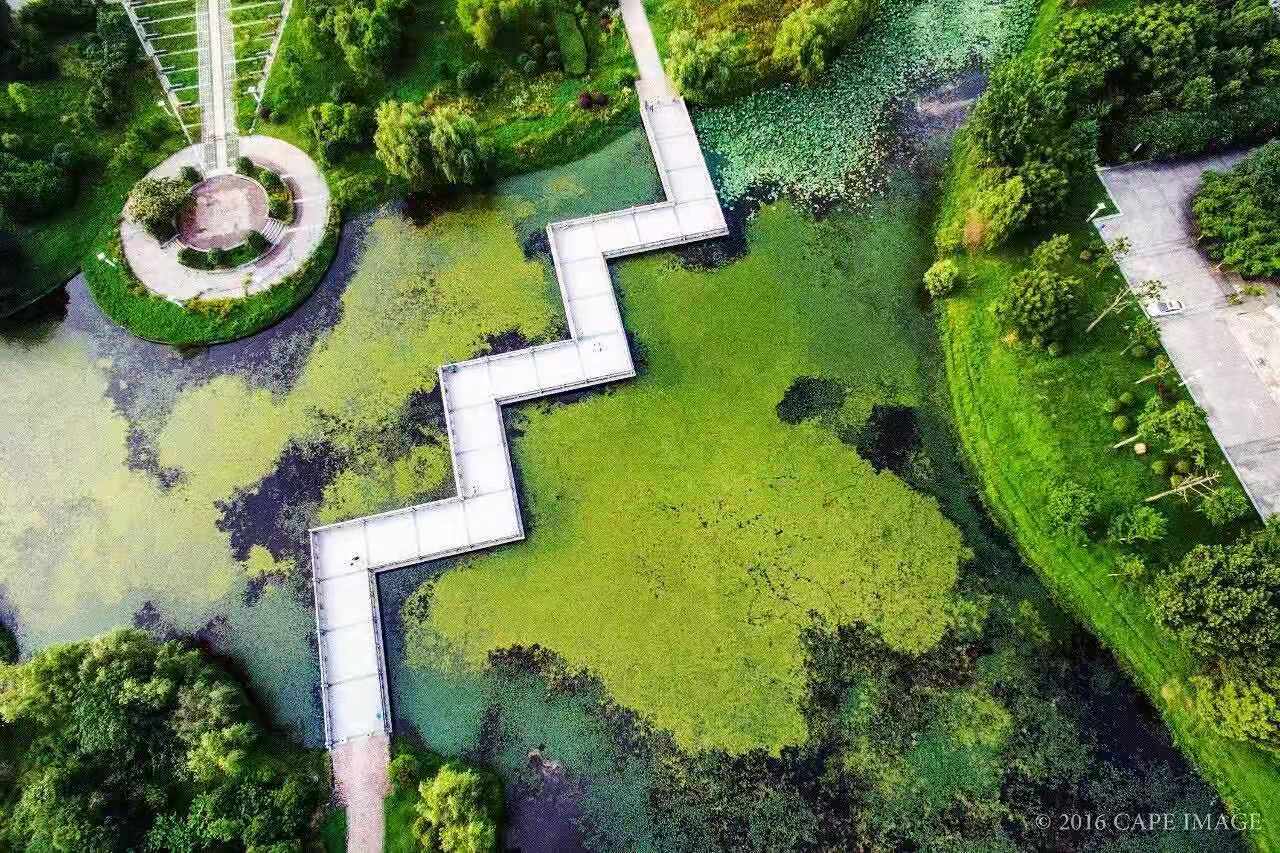 揭秘！民国时期最高学府——国立中央大学的