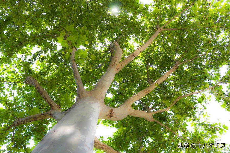 读大学做到这几点，大学时光将会成为你最美的青春记忆