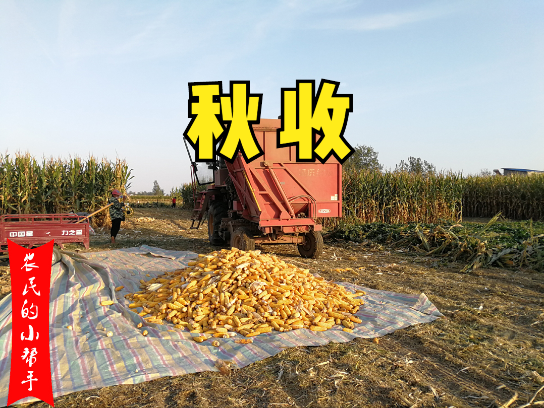 農事活動包括哪些,
