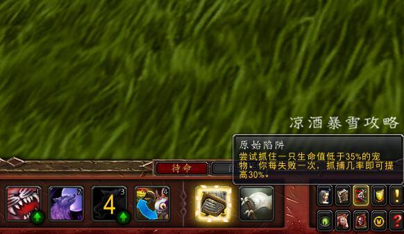 魔兽世界：宠物对战详解 从零开始了解宠物对战