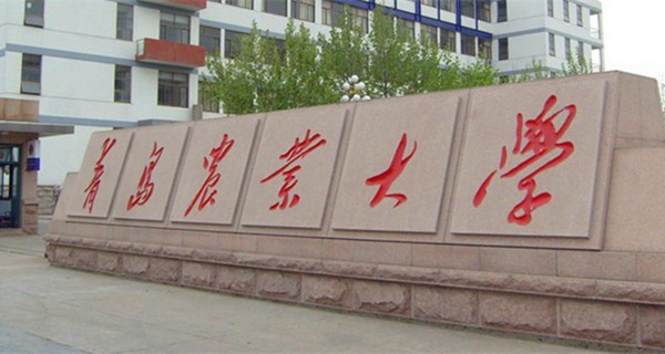 除了曲阜市，山东还有哪些县（县级市）有高等院校?