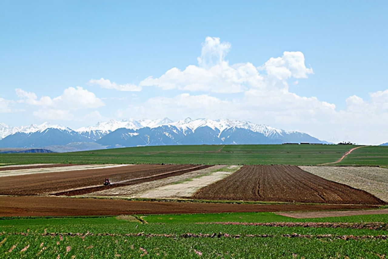 唯一没撤销的生产兵团：有14个师、2000个连队，地区GDP超2700亿