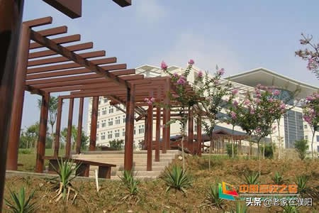 河南高校巡礼之河南城建学院