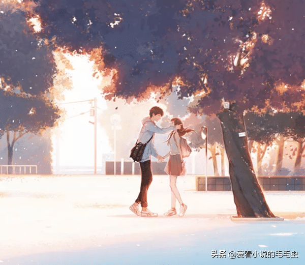 4本双向奔赴的现言宠文，互撩互宠，温暖治愈，看完想恋爱