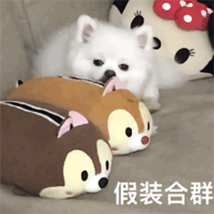 00后的“任性辞职信”，连理由都懒得编了，这是在炒老板吧