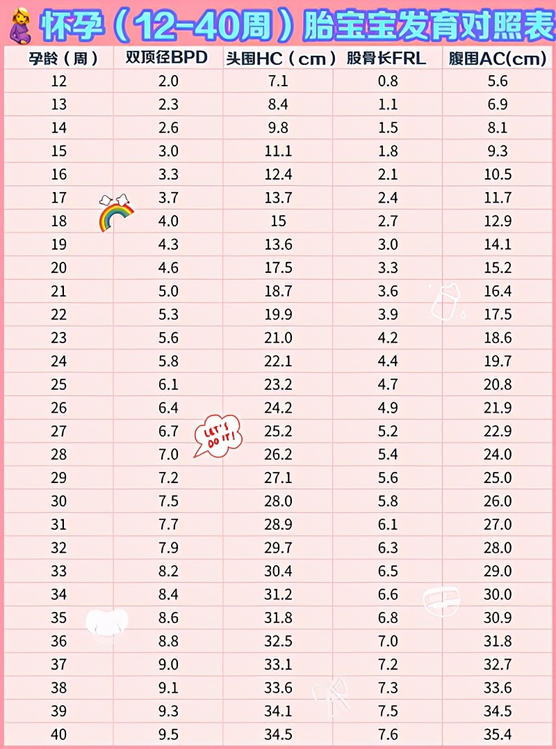 胎宝头部大小代表着什么？第4种情况不用担心，附胎宝发育对照表