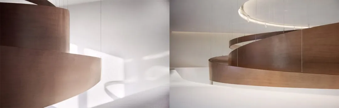 共生形态 | 筑巢：光与空间的诗意表达