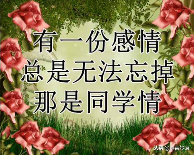 佛言妙语】同学情，永难忘，祝福每一位老同学平安，健康，快乐！