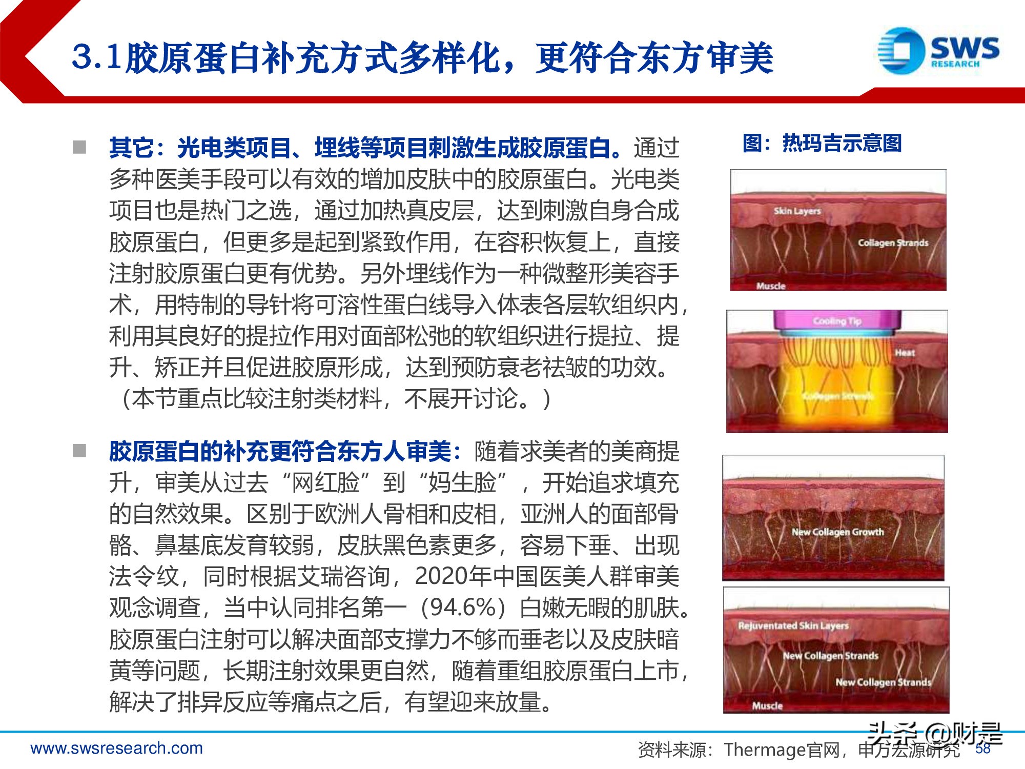 胶原蛋白行业深度研究报告：生物医药材料下一个风口
