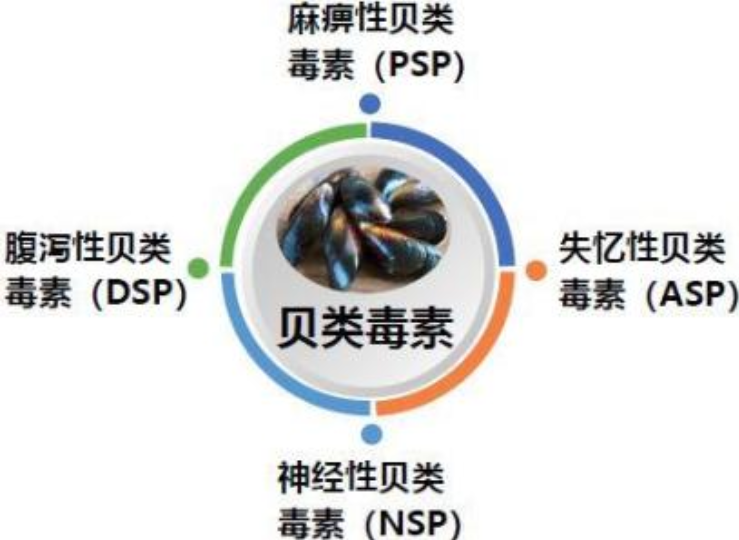 北方多地禁食海虹！毒性比眼镜蛇毒还强80倍，为何不直接禁止？
