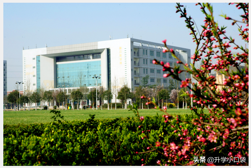 女大学生宿舍养鸡，从鸡蛋变鸡肉，是“馋人”还是“残忍”？