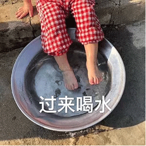 表情包：让我看看我家憨批在干嘛