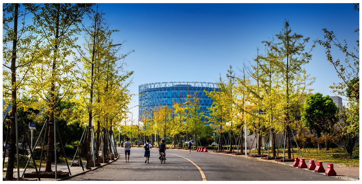 它是长江大学武汉校区文献中心,是教学和科学研究服务的学术性机构,是