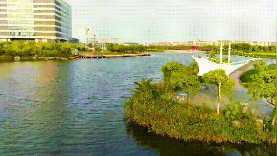 华东理工大学2020一本批52专业按16专业类招 首推跨学院大类招生