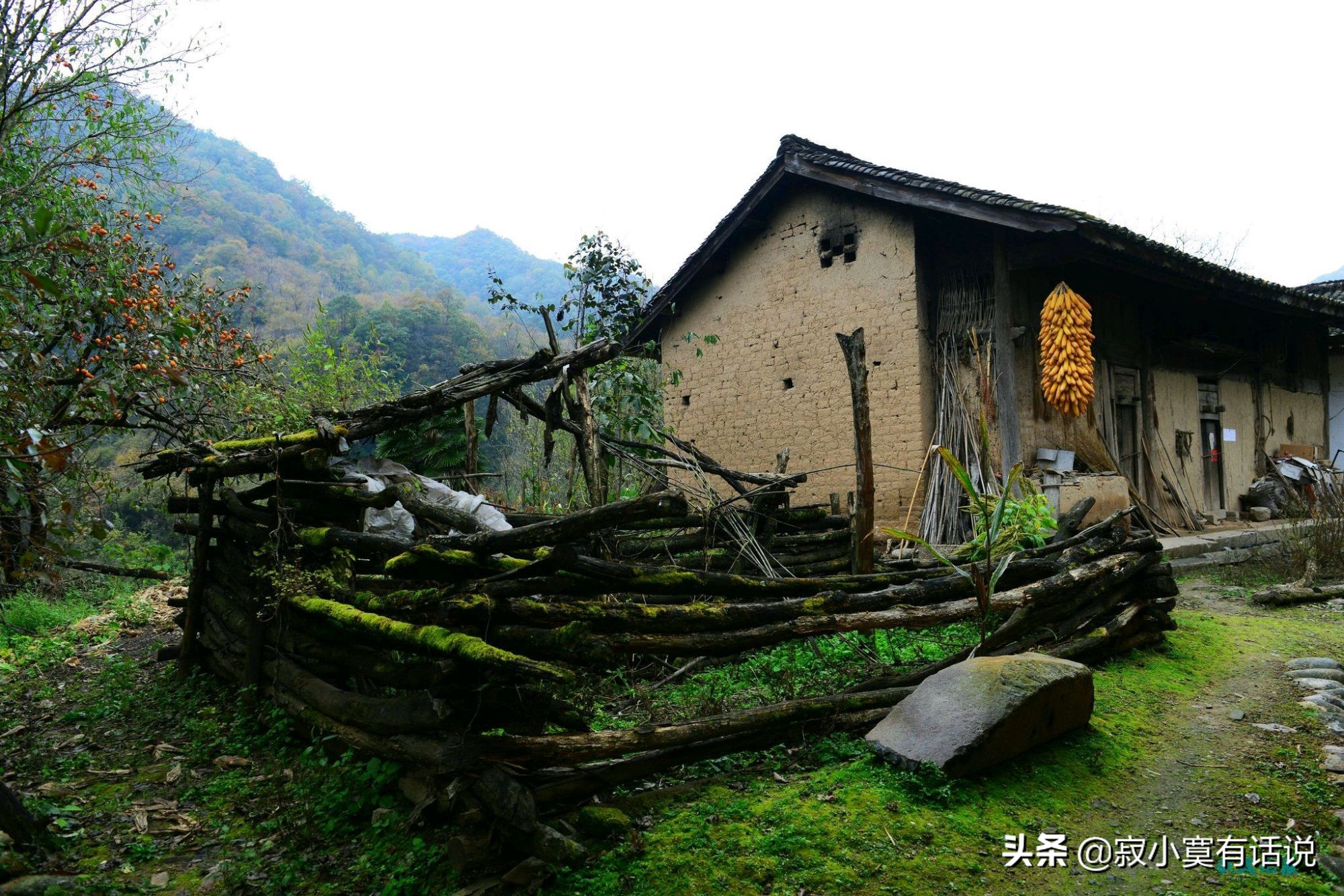 雨中的秋天（慢慢品读）