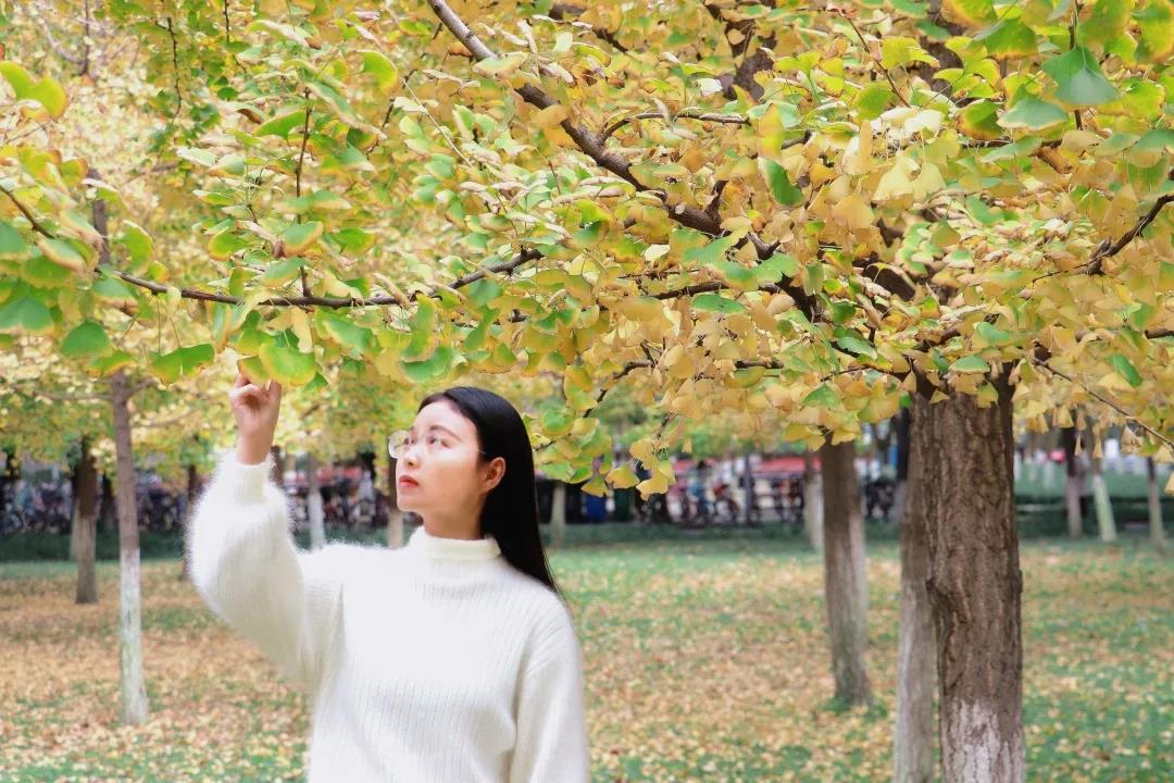 全球首次、世界领先！四川这所