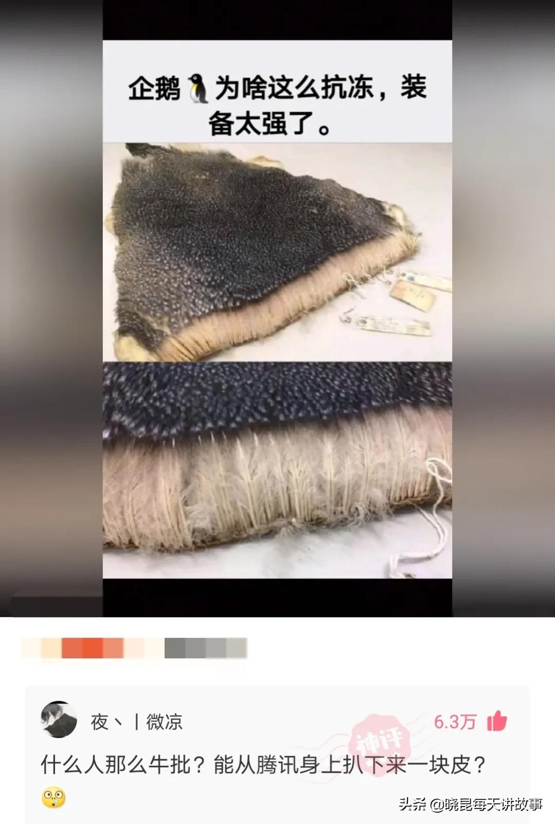 神回复:女友背着我去打了舌钉,太不尊重我了,该怎么办?