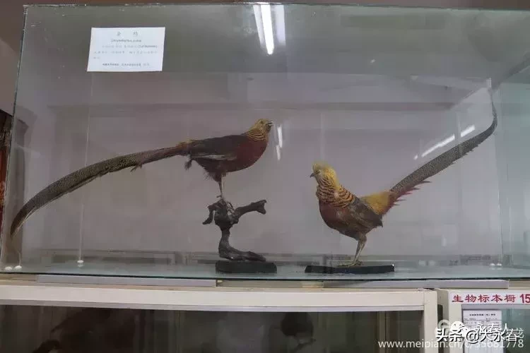 美哉！我们的永春三中