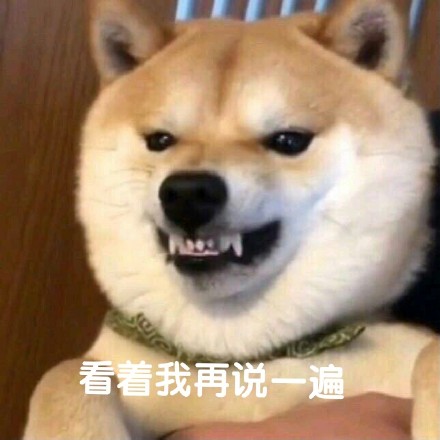 沙雕柴犬的表情包｜野心不大，你和天下