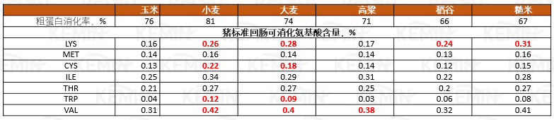 玉米替代的关键点及推荐方案