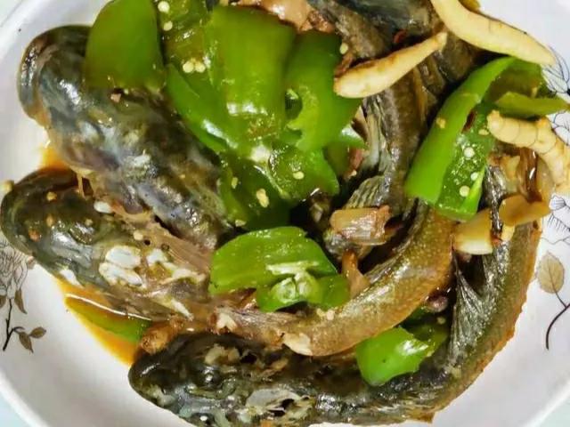 海魚的種類圖片,海魚種類名稱圖片大全