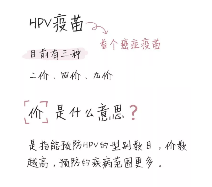 接种HPV疫苗多少钱一针？