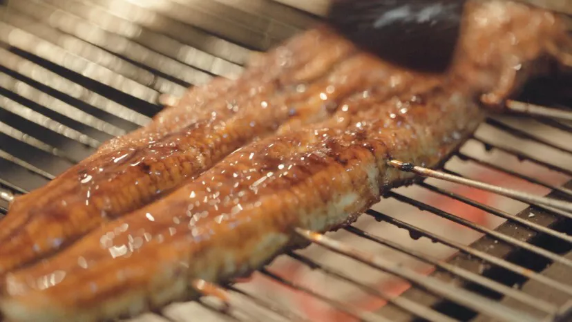 《上新吧!山川湖海》开播 世界美食走近「寻常百姓」