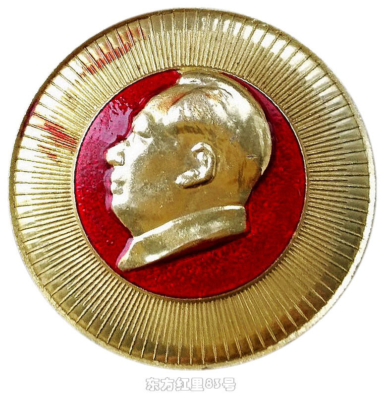 像章铭记｜沈阳药学院出品的对章-章面主体相同，只是上色有区别