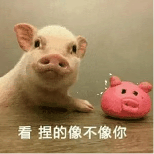 表情包：在吗？出来玩，我已经收拾好了​