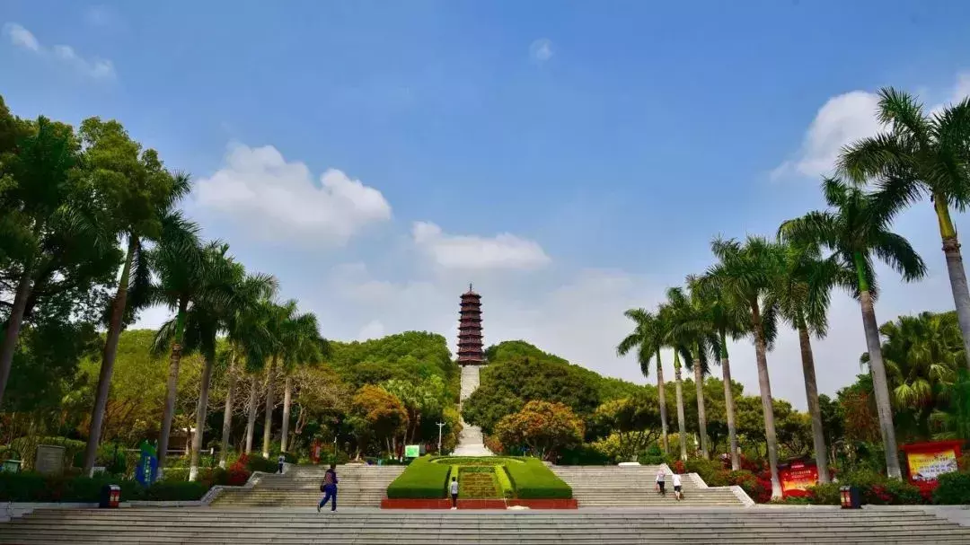 深圳红花山公园儿童乐园开放啦!附游玩指南