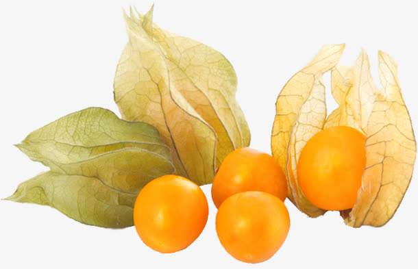 红菇茑的功效与作用(红菇茑的功效与作用及食用方法)-我的快乐小窝