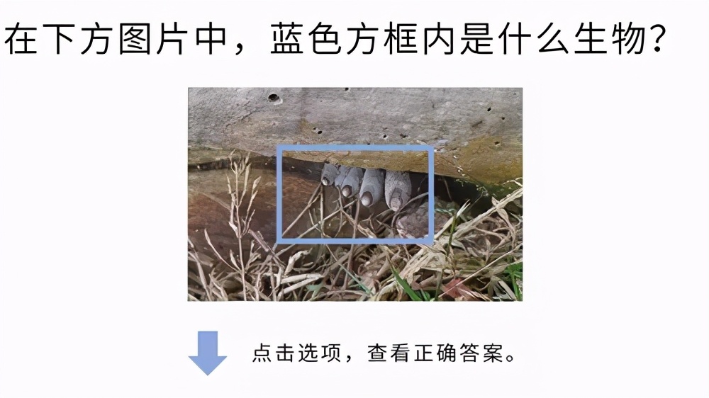 高考大作战！20道冷门又难解的试题等你来解答