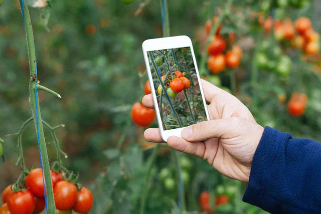 温铁军：中国不能实行农村土地私有化，农业问题不能单拎出来考虑