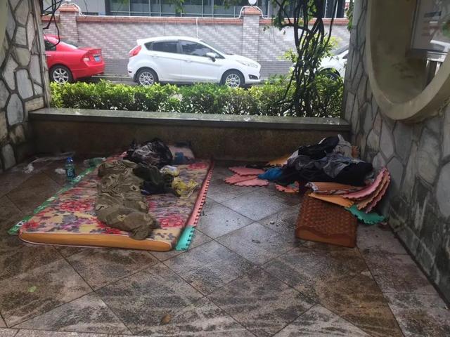 江西大学生露宿深圳街头，从天使沦落到流浪女，网友：不值得同情