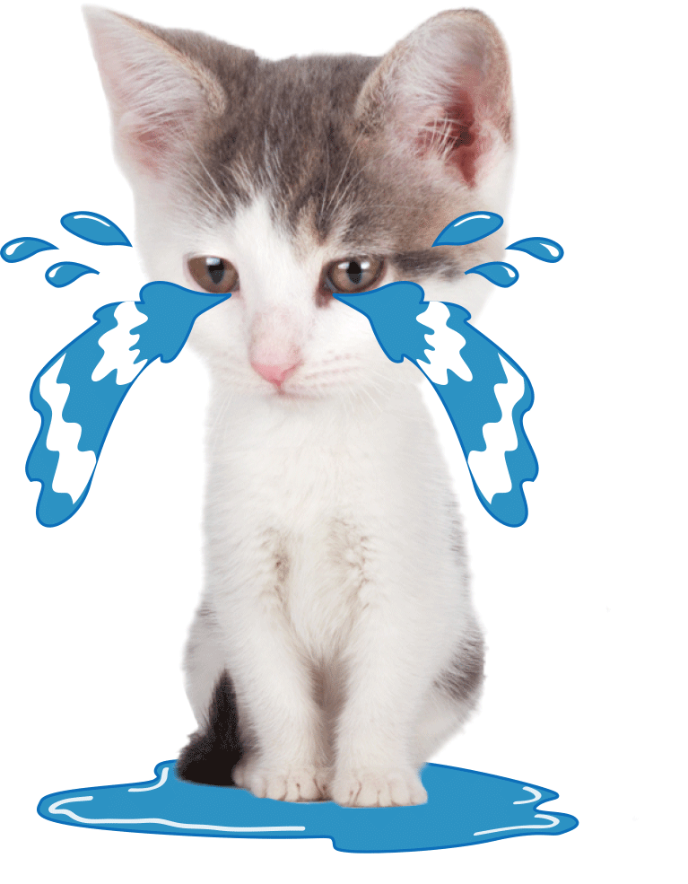 最近这些专业宣布不招生~七夕没好好过，考研人这岸也不上了吗？