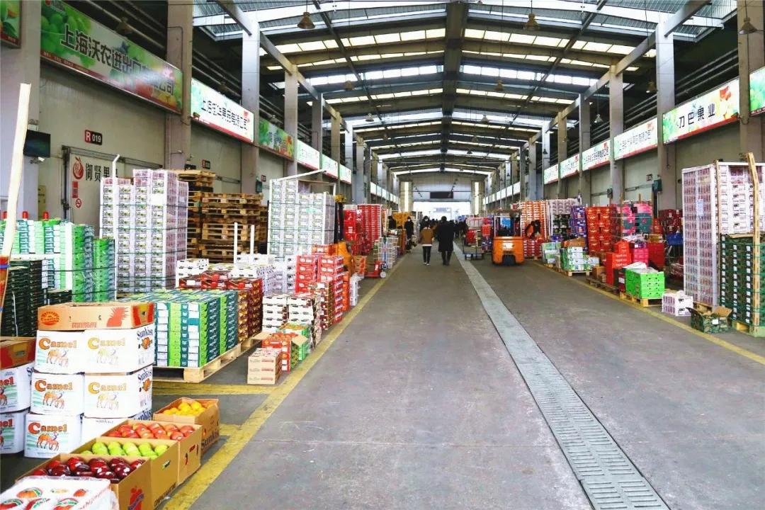 上海水果批发市场最最大的是哪里上海市最大的水果批发市场