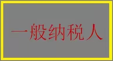 一般纳税人申请,一般纳税人申请资格条件