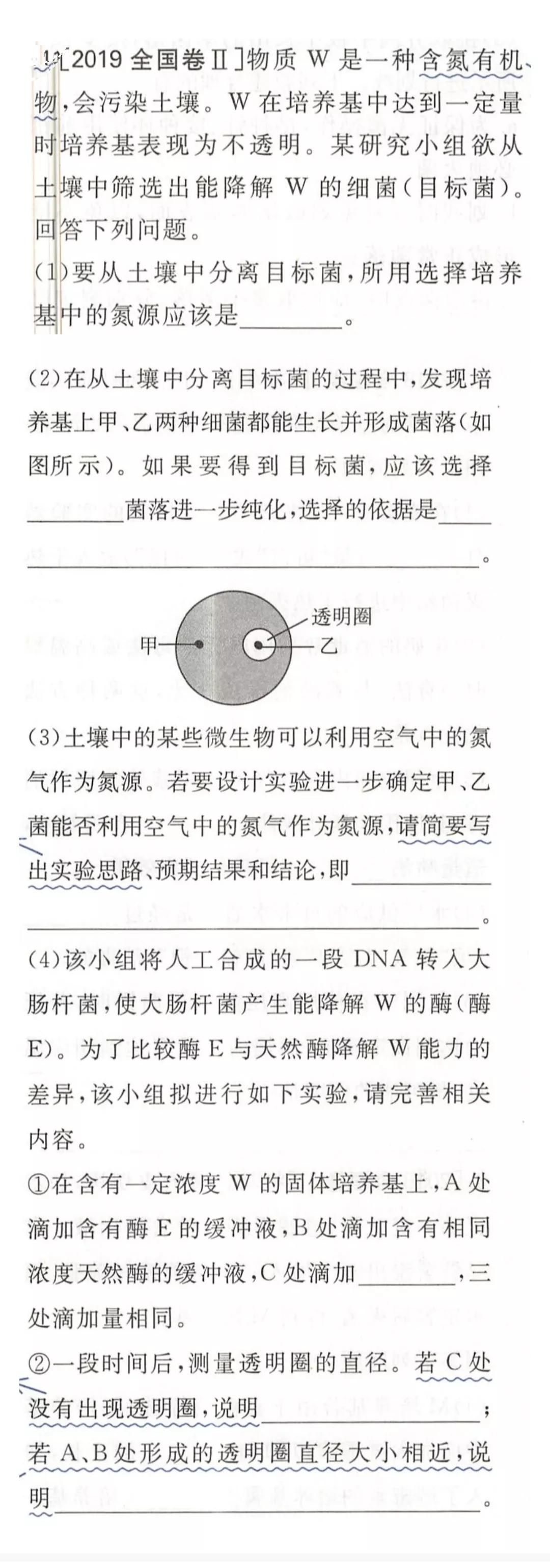 2019年普通高等学校招生全国统一考试（课标全国卷‖）