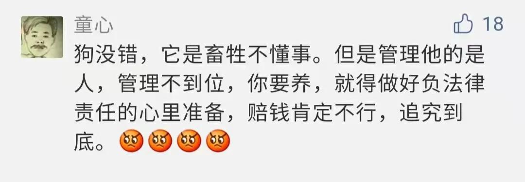 痛心！大理大学12只网红黑天鹅被烈犬咬死！包括6只丑小鸭！狗主人赔4万元