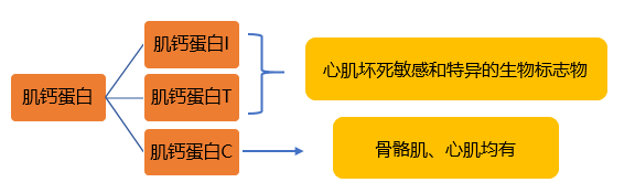 心脏好不好，抽血化验也能查出来！医生解读心内科常见的2大指标