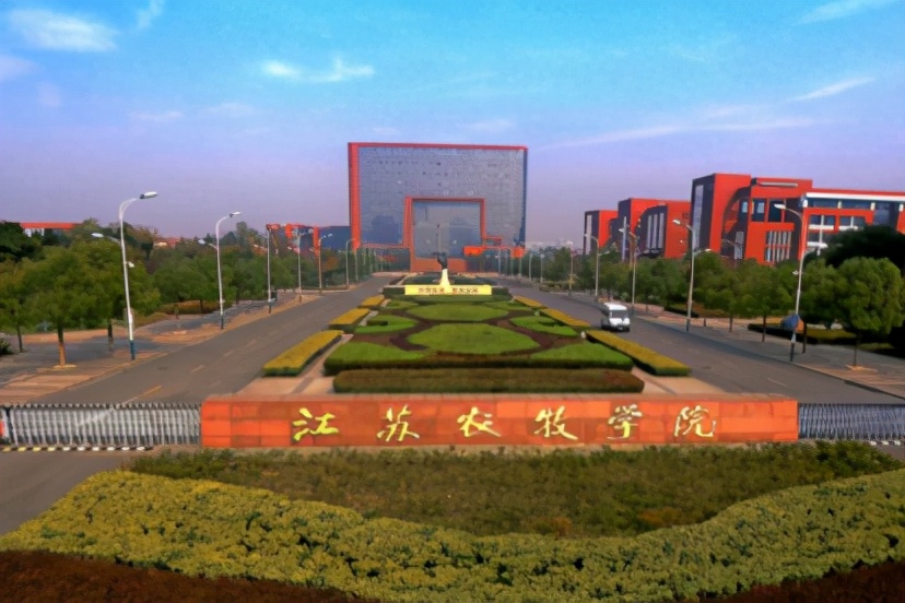 好消息！江苏被传两校合并，成立“新本科”，学生福音