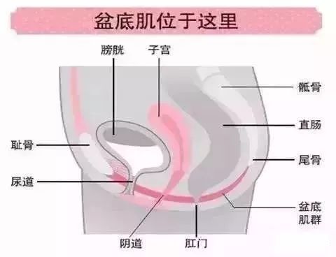 福利来啦｜80个免费盆底筛查名额你要吗？