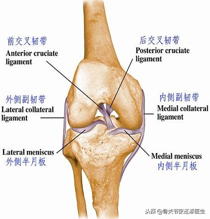 nba半月板伤有哪些人(折磨韦德、罗斯等NBA巨星的“半月板损伤”，究竟是什么？)