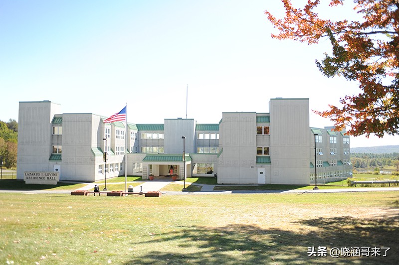 三胞胎实验，出生就被分开放入不同的家庭，后来的人生有何不同？