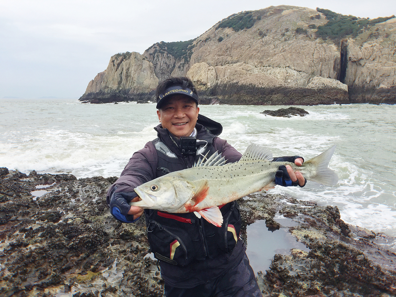 釣海鱸魚用什麼餌料最好釣海鱸最簡單的方法