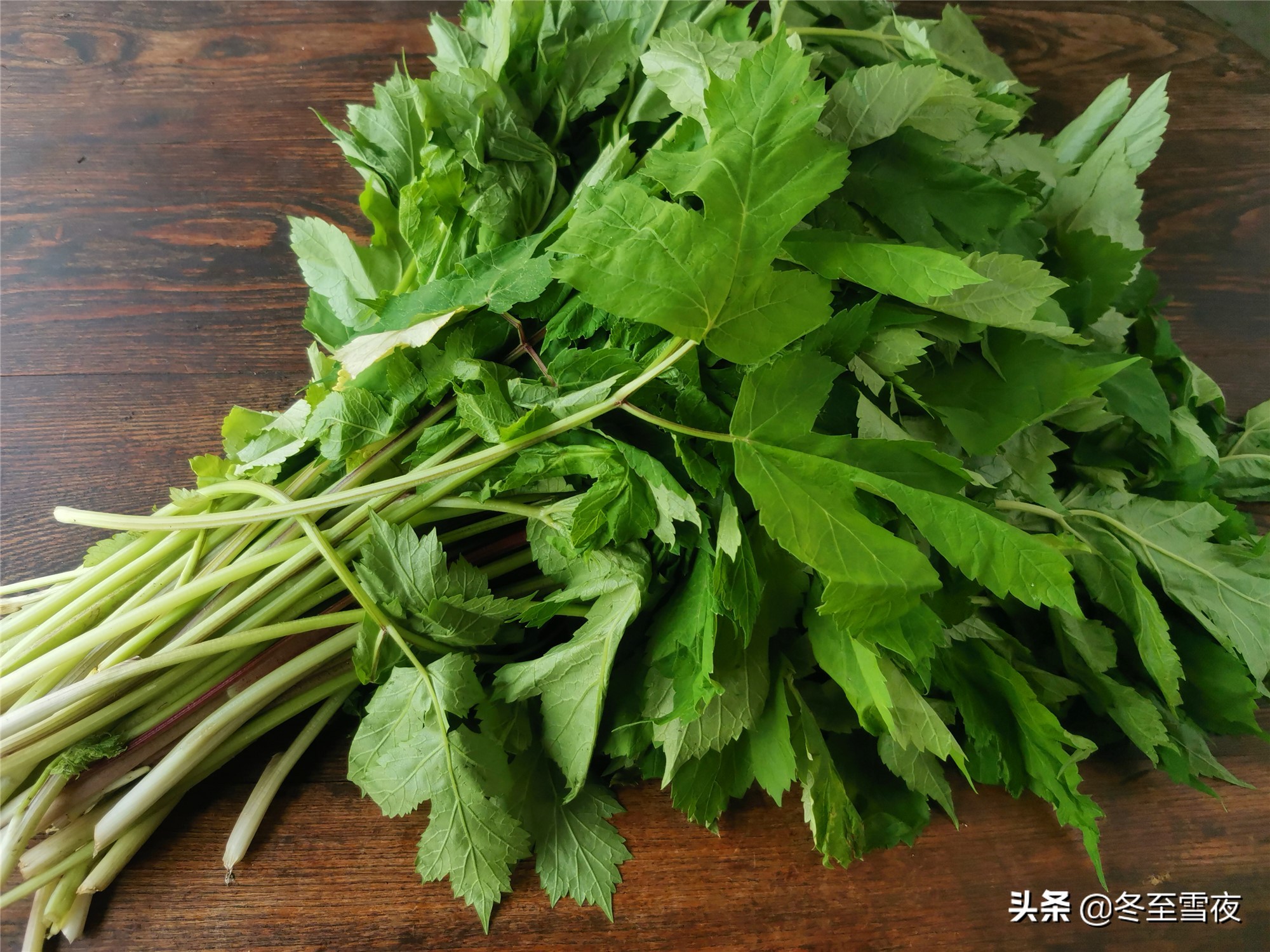 山野菜的做法,山野菜的做法大全